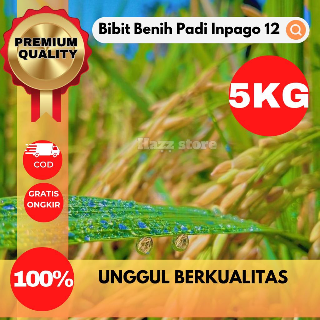 BENIH BIBIT PADI INPAGO 12 UKURAN 5KG VARIETAS UNGGUL HASIL BERKUALITAS TINGGI, TAHAN HAMA & CEPAT P