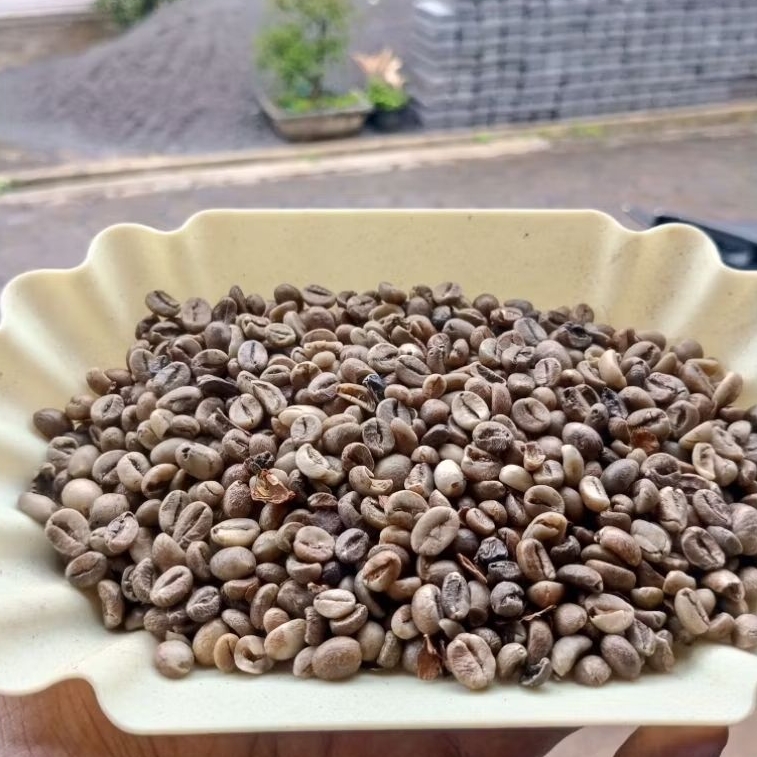 Robusta Temanggung asalan 1kg || GREEN BEAN ROBUSTA TEMANGGUNG