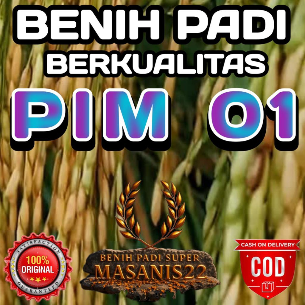BENIH PADI PIM 01 SUPER UNGGUL BERKUALITAS KEMASAN 5KG
