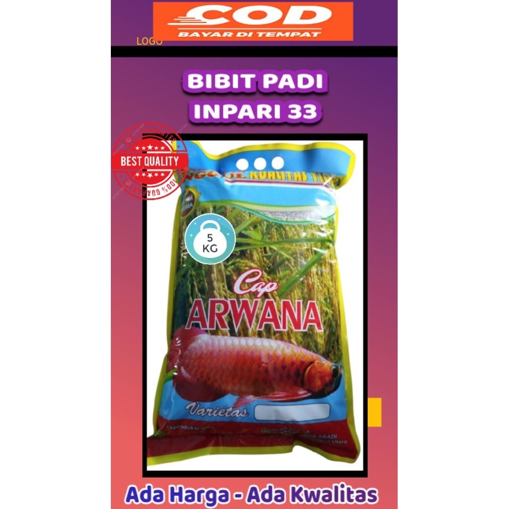 BIBIT PADI UNGGUL VARIETAS INPARI-33 100%ORIGINAL KWALITAS TERJAMIN/KEMASAN 5KG
