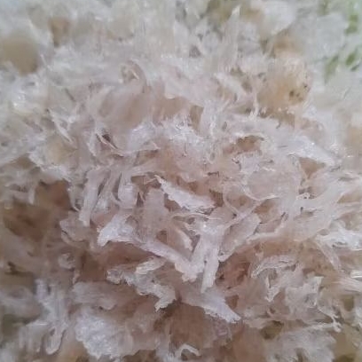 sarang walet patahan bersih original 1gram