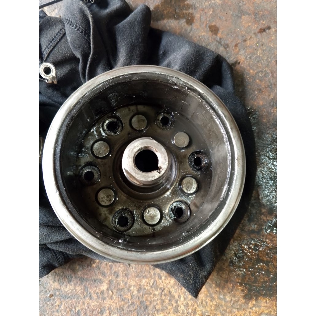 magnet tiger ori cepotan std