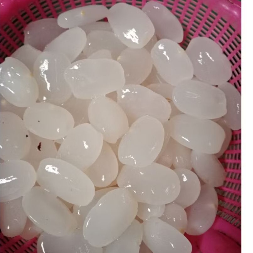 Blanja d sini Kolang Kaling muda Bahan manisan 500gr Kolang Kaling original dijamin murah