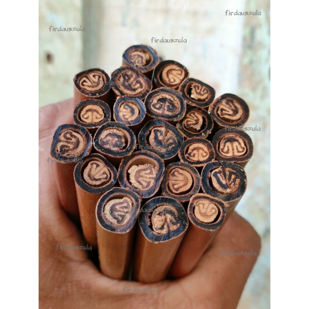 Qalam Handam Bili Billy Pulpen Kuas Pena Khat Kaligrafi Arab