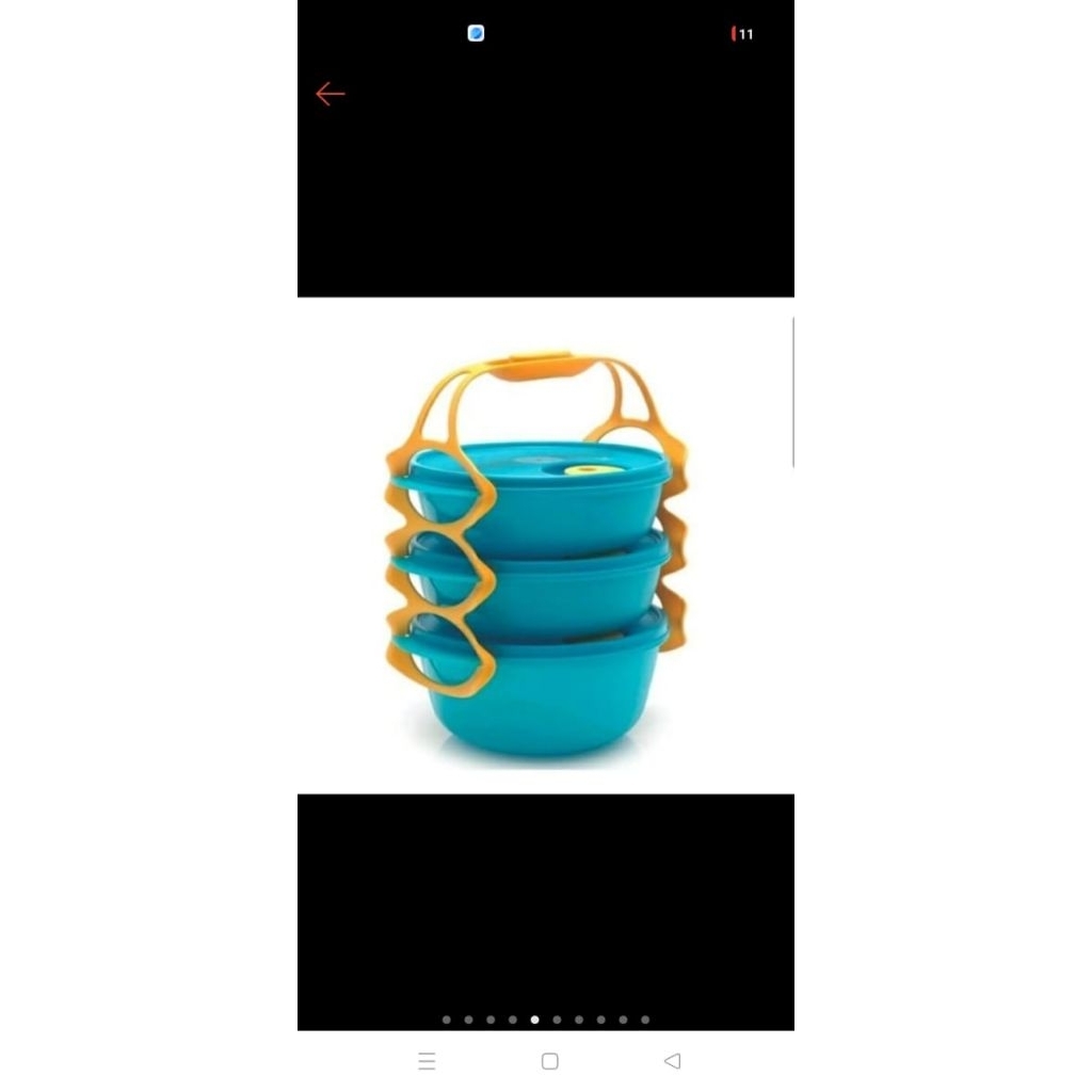 carry all bowl tosca tupperware