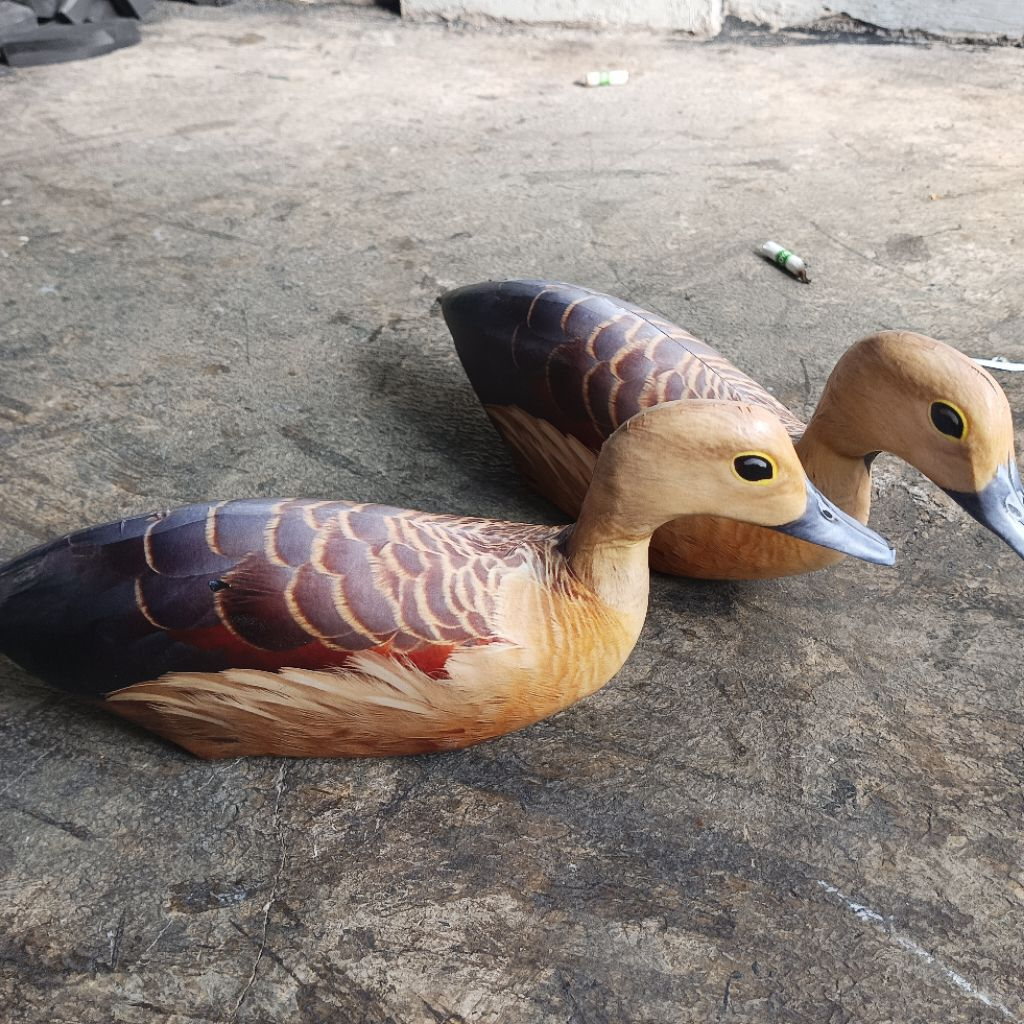 Jontrot belibis alis kuning / boneka pikat belibis anti penyok mirip aslinya