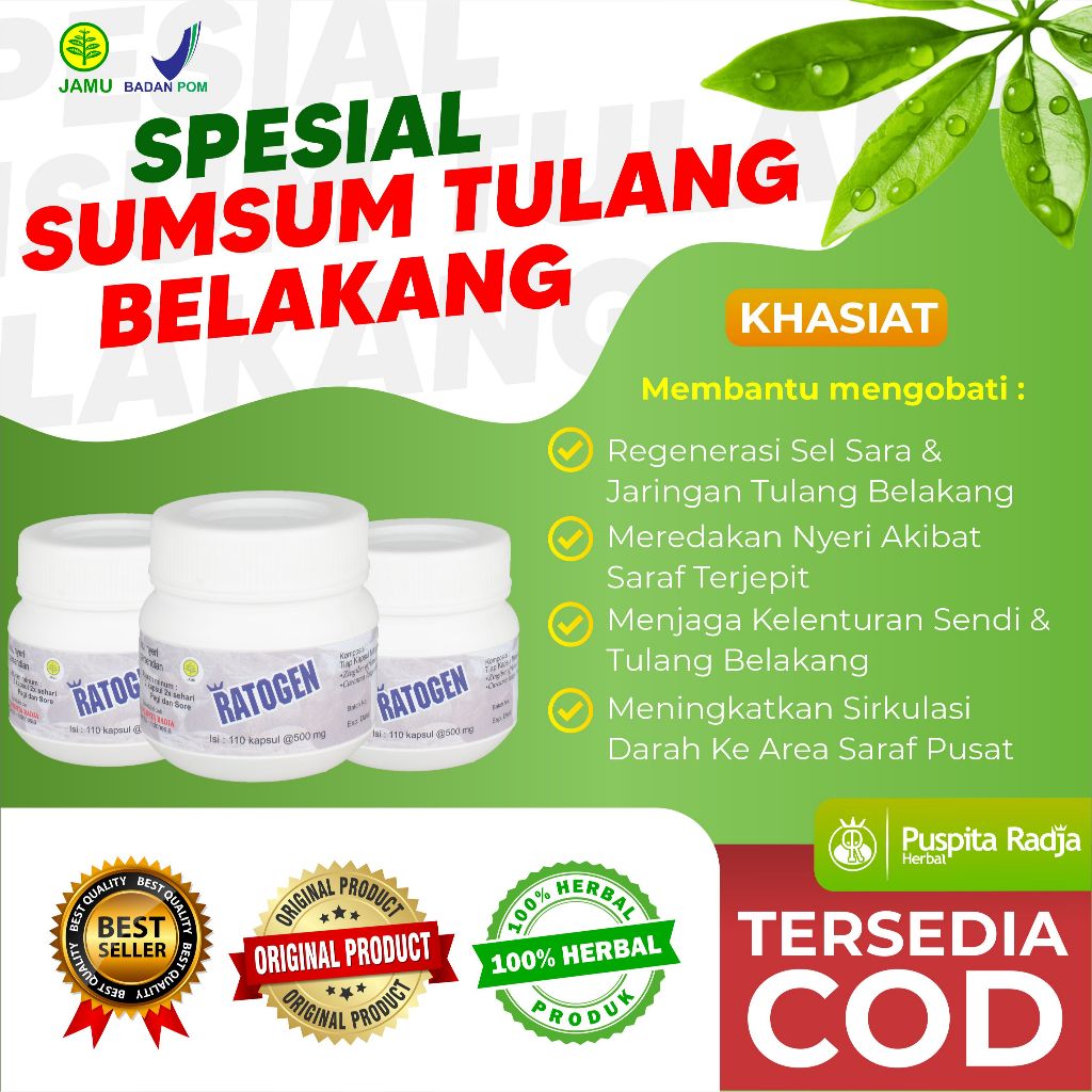 [BISA COD] RATOGEN Herbal Spesial Sumsum Tulang Belakang Hasan Sabilah Puspita Radja Herbal