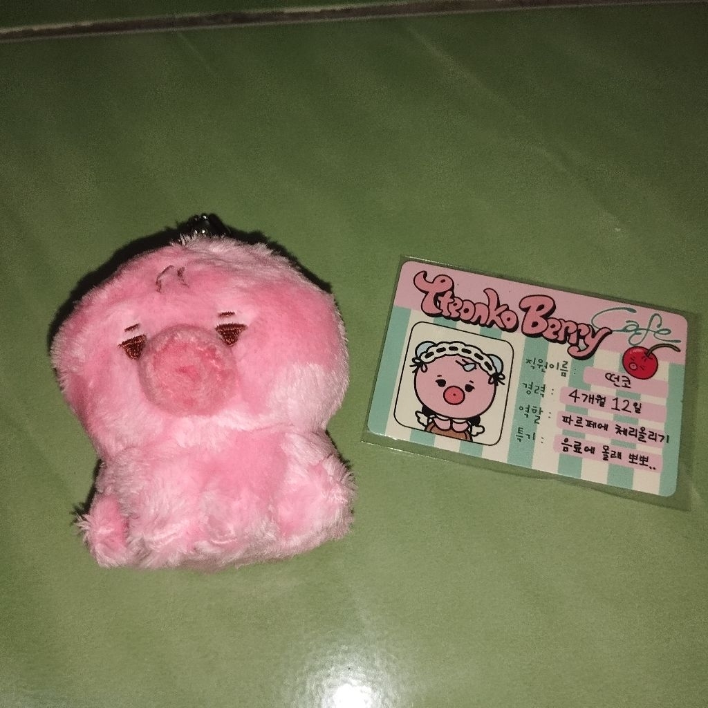 THE BOYZ SUNWOO DOLL TTEONKO