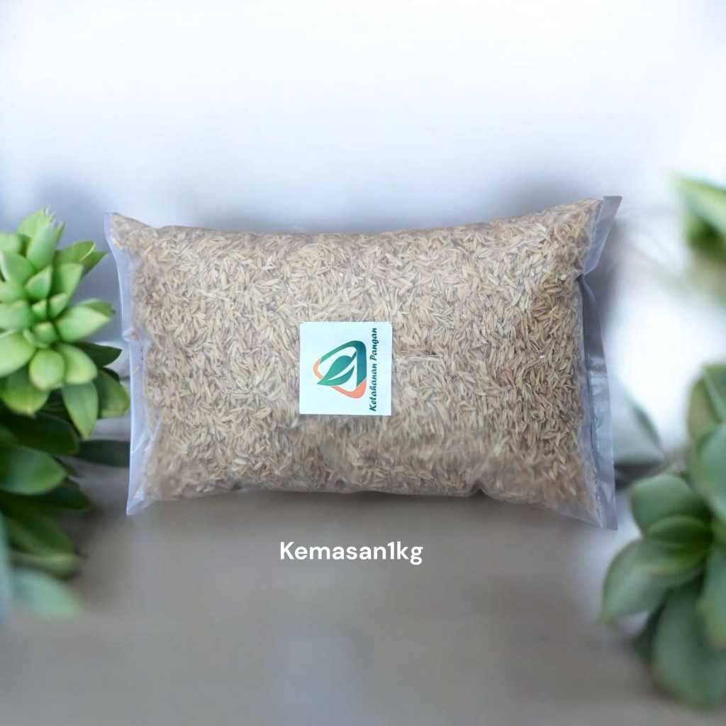 Sekam padi kulit gabah mentah media tanam bahan briket 1kg