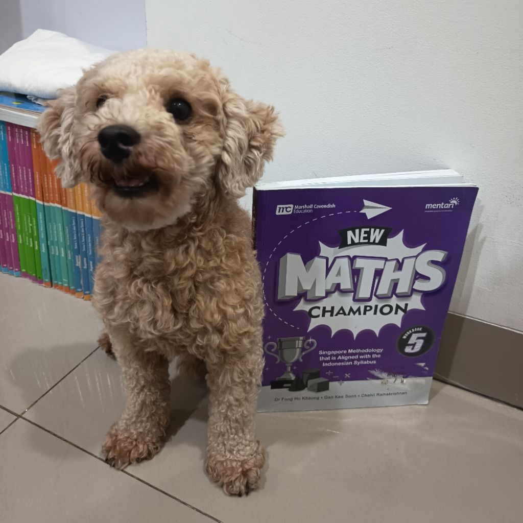 PRELOVED - Maths Champion Workbook 5