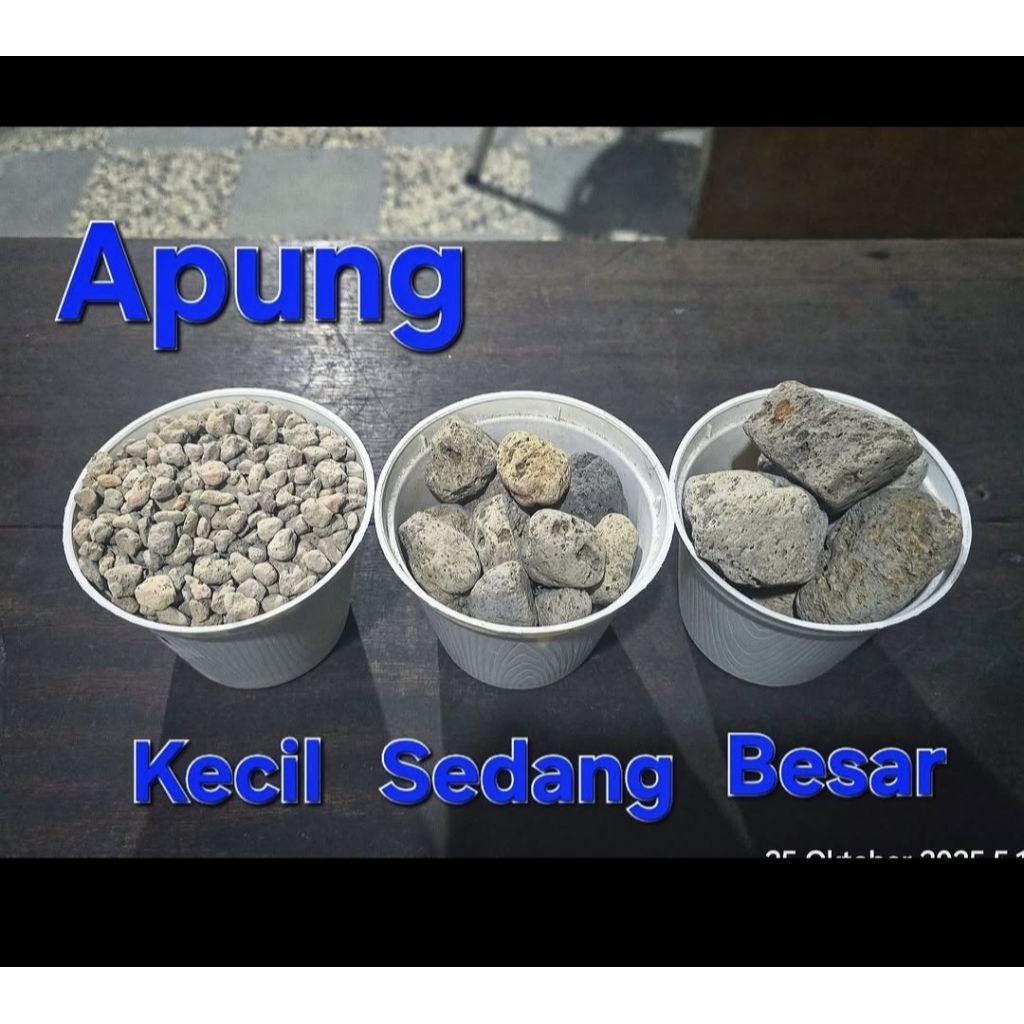 Batu Apung Media Filter / Pumice Apung / Kolam Koi