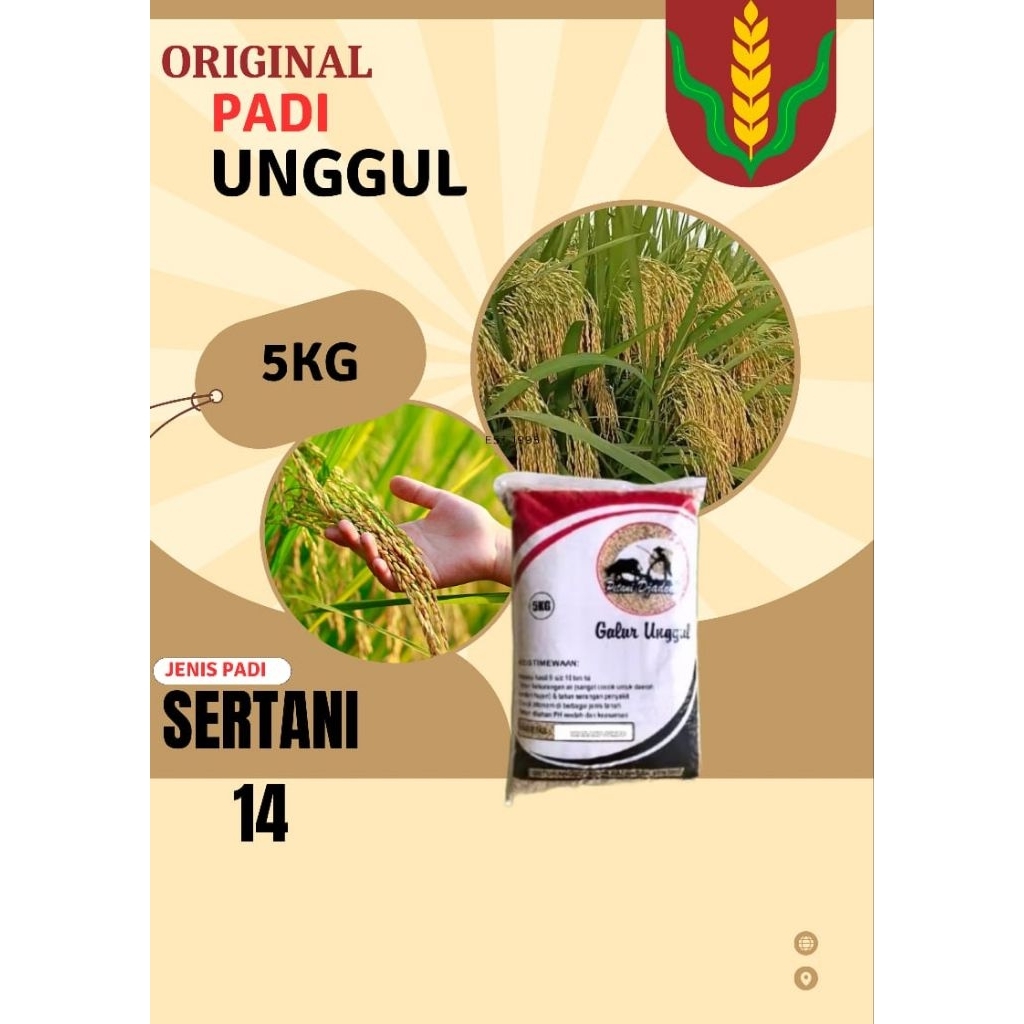 BENIH PADI UNGGUL BERKUALITAS TINGGI SERTANI KEMASAN 5K