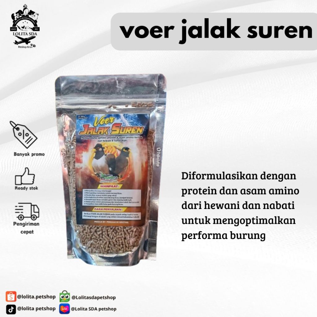 voer jalak suren / pakan burung jalak