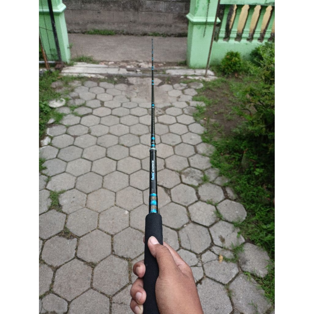 besutan Ogawa Octopus