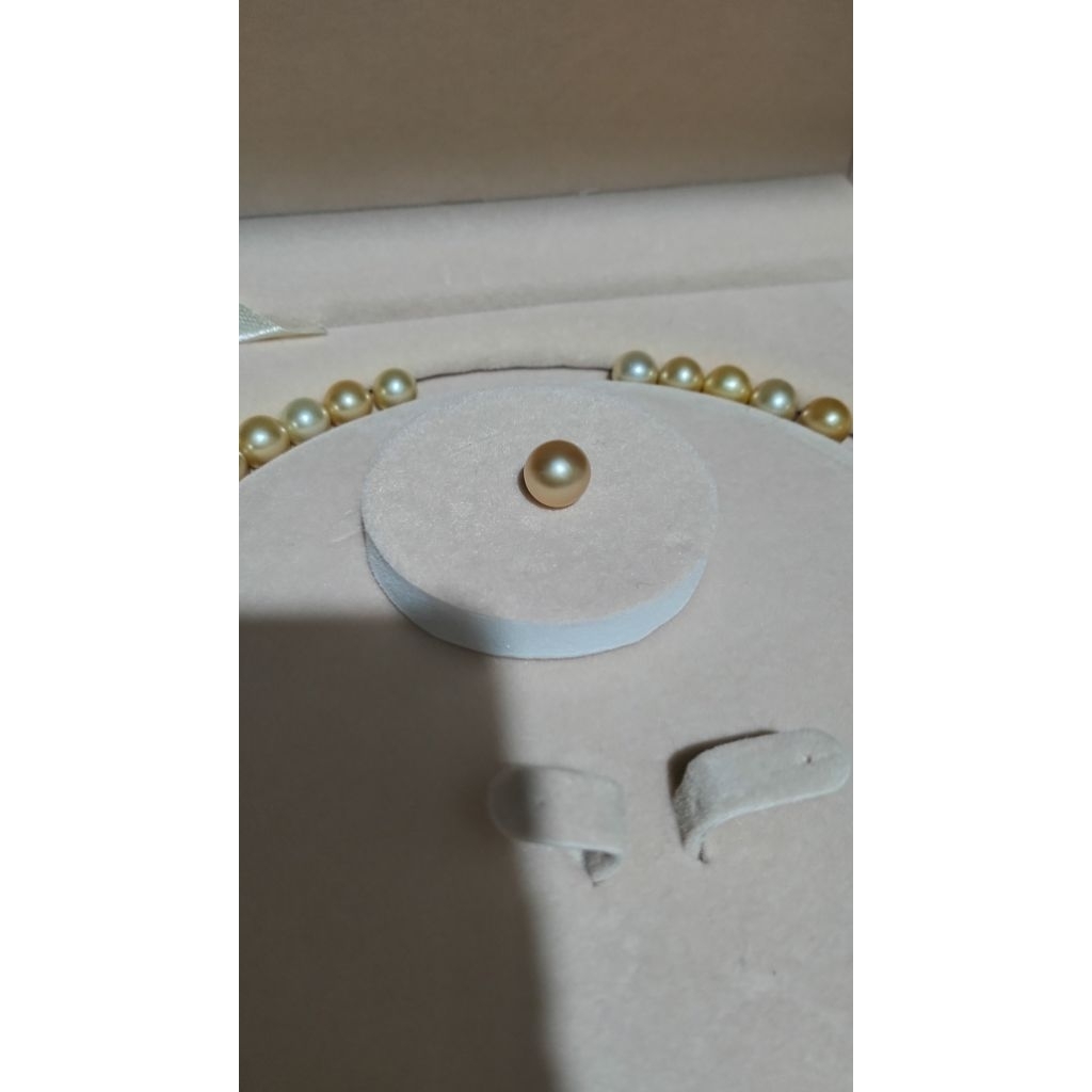 mutiara laut deep gold