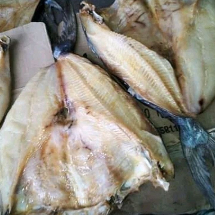 ikan asin jambal roti utuh 1kg