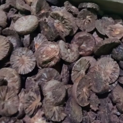 Buah pinang muda iris kering_jambe muda iris kering