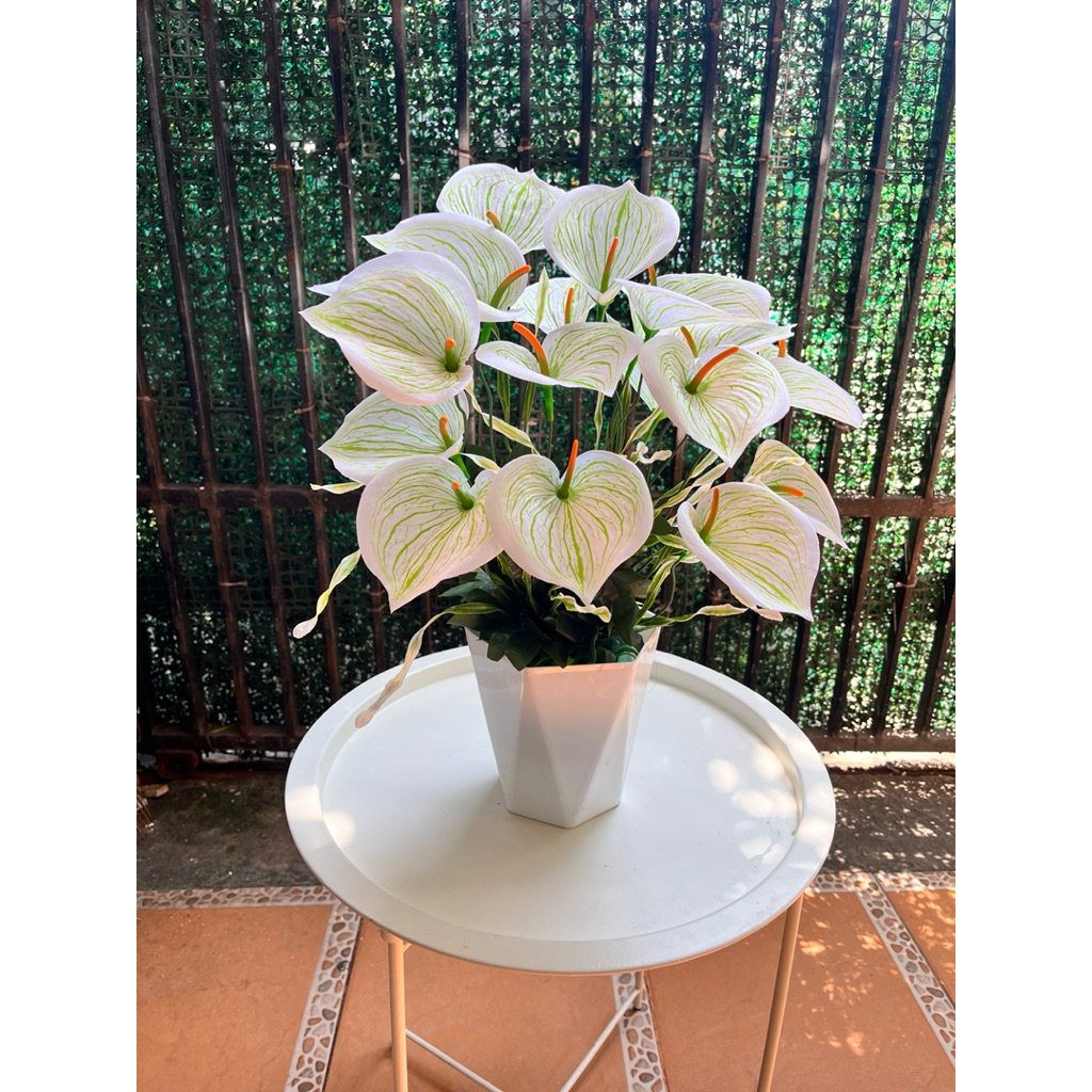 bunga hias bunga  bunga meja besar bunga artificial bunga anthurium /bunga aron panda berikut pot di