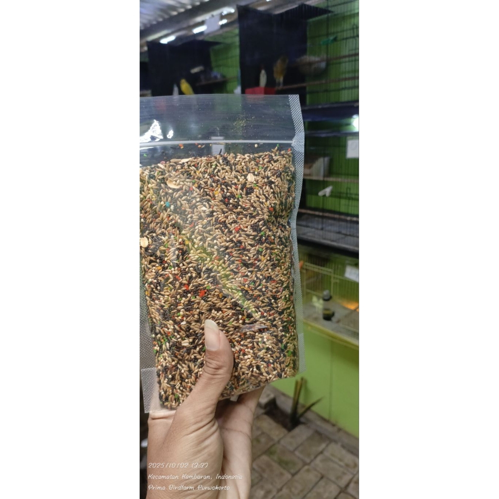 Pakan kenari import / harian / ternak