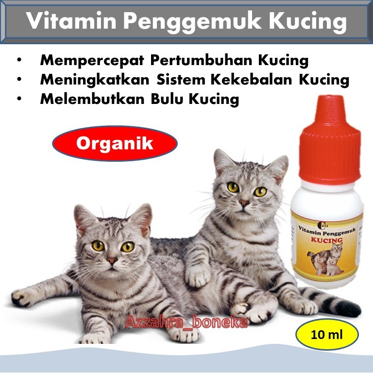 Vitamin Anak Kucing Biar Gemuk / Vitamin Anak Kucing Nafsu Makan / Vitamin Anak Kucing Agar Sehat / 