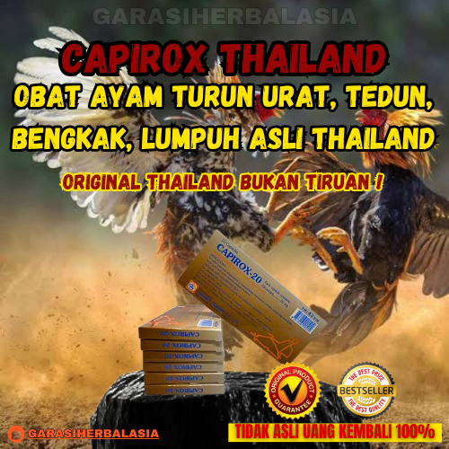 GHA | capirox 20 obat ayam lumpuh turun urat tedun | Versi Paling AMPUH