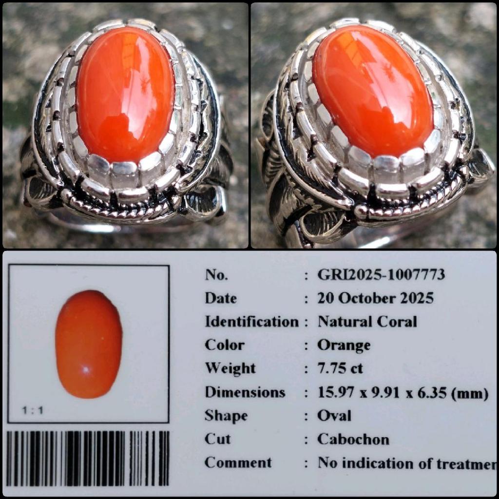 Batu Marjan Mediterania Asli Natural Coral Gems Permata Langka Tembus Senter Kristal