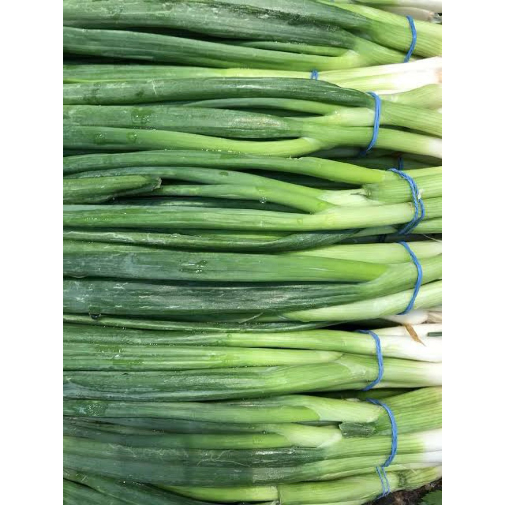 Bawang daun 250 gr fresh Bandung