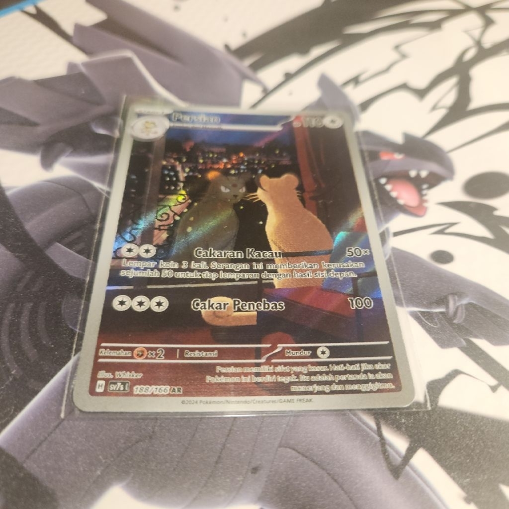 Persian SV7S 188/166 AR ID