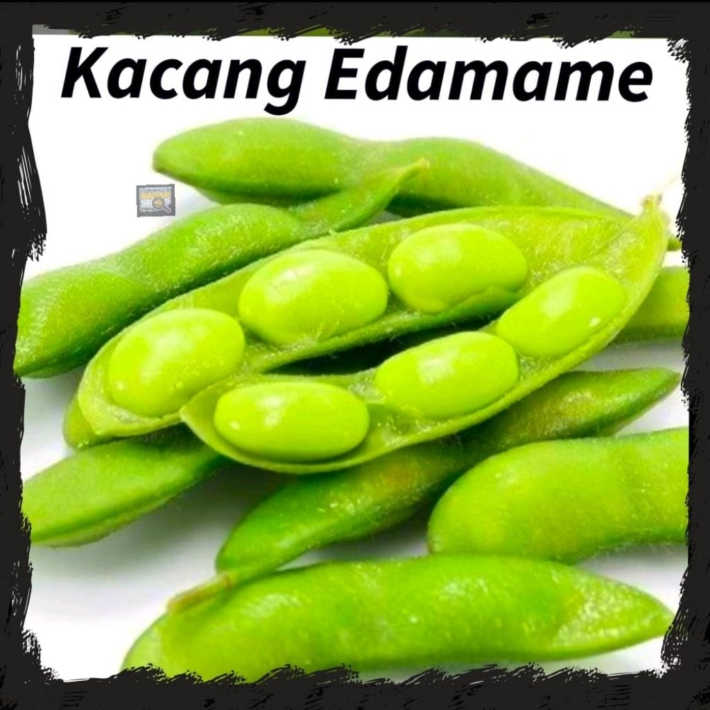 Kacang Edamame Mentah / Kacang Kedelai Jepang