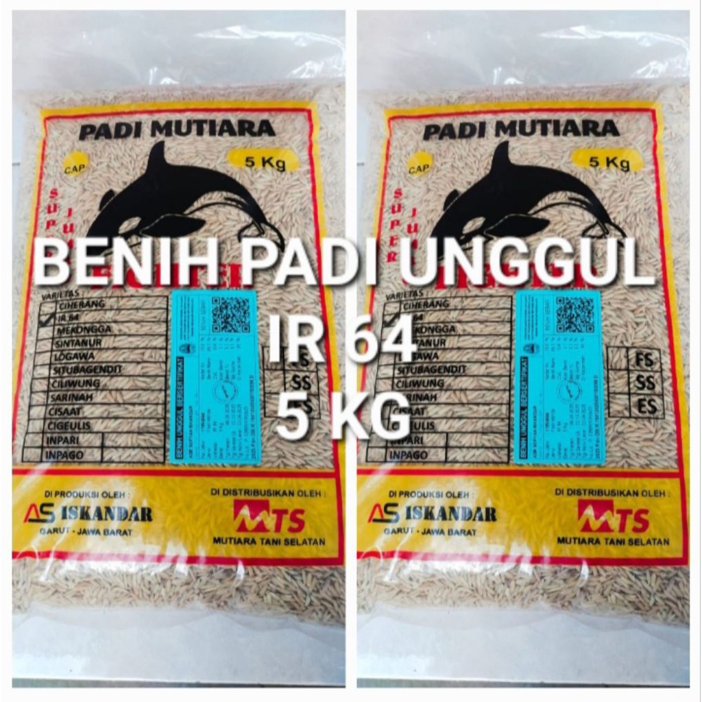 benih padi unggul IR 64