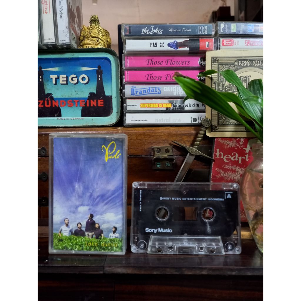 KASET PITA  PADI / LAIN DUNIA