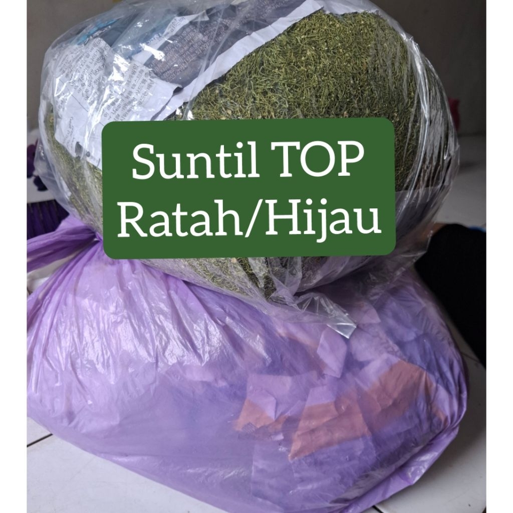 Suntil TOP Ratah/Hijau makan sirih demban nginang