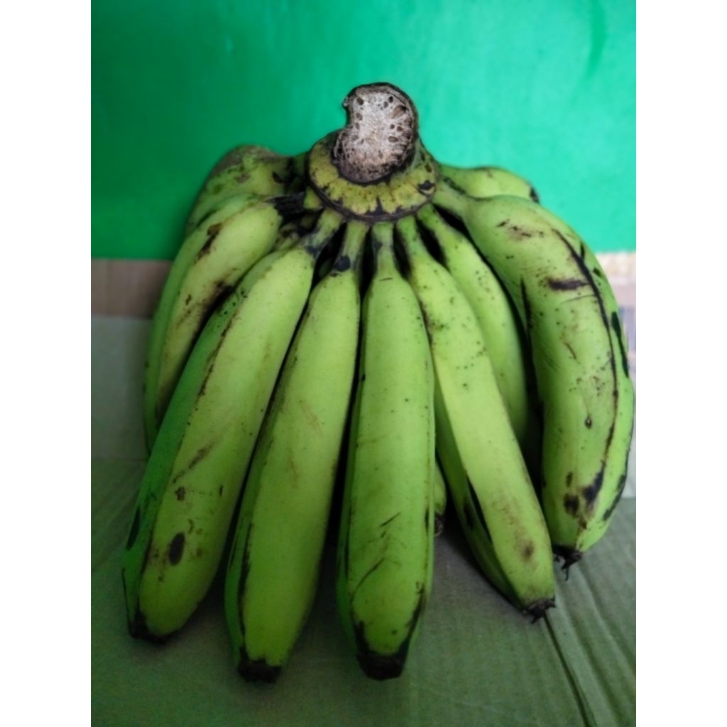 Pisang Ambon lumut