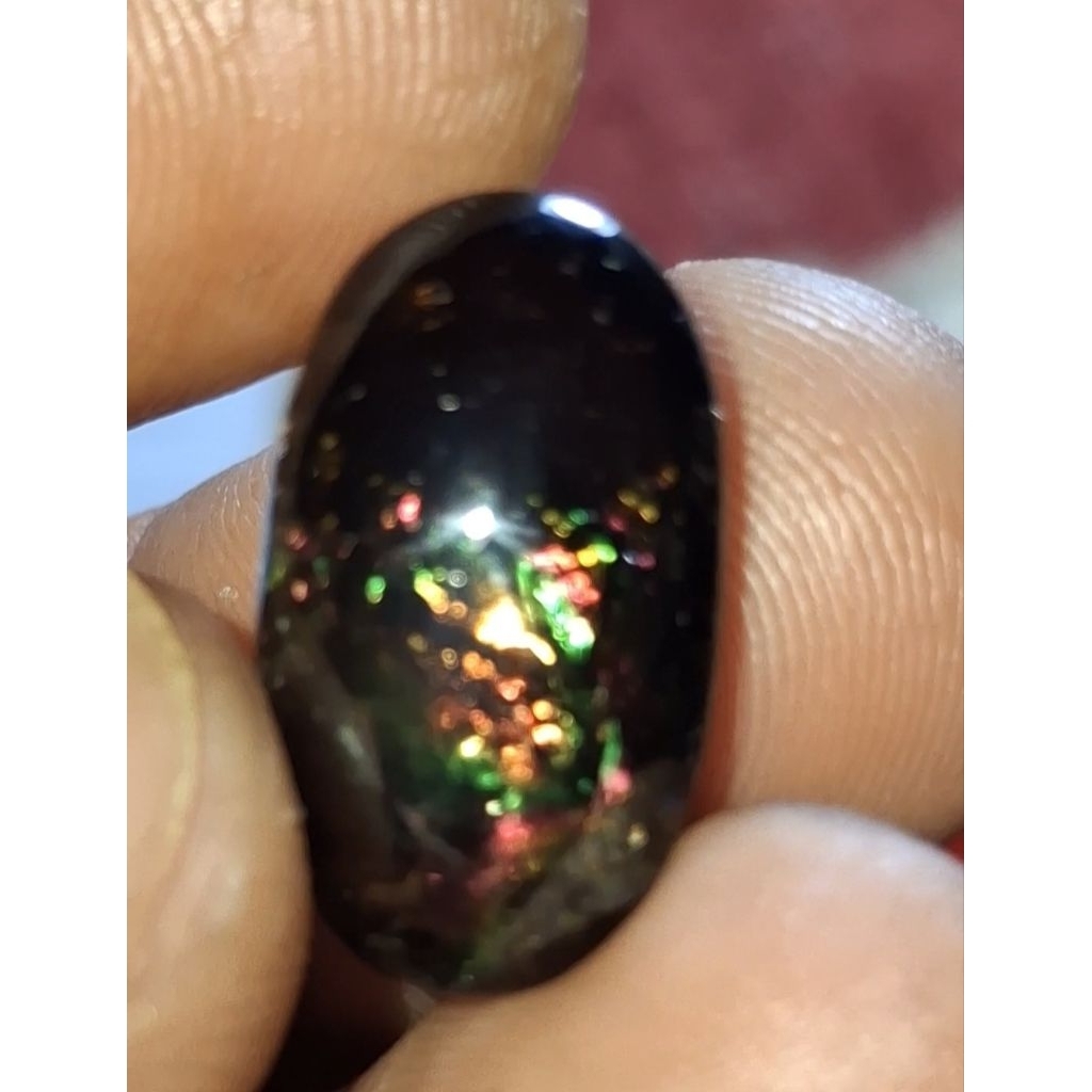 kecubung pelangi kopk