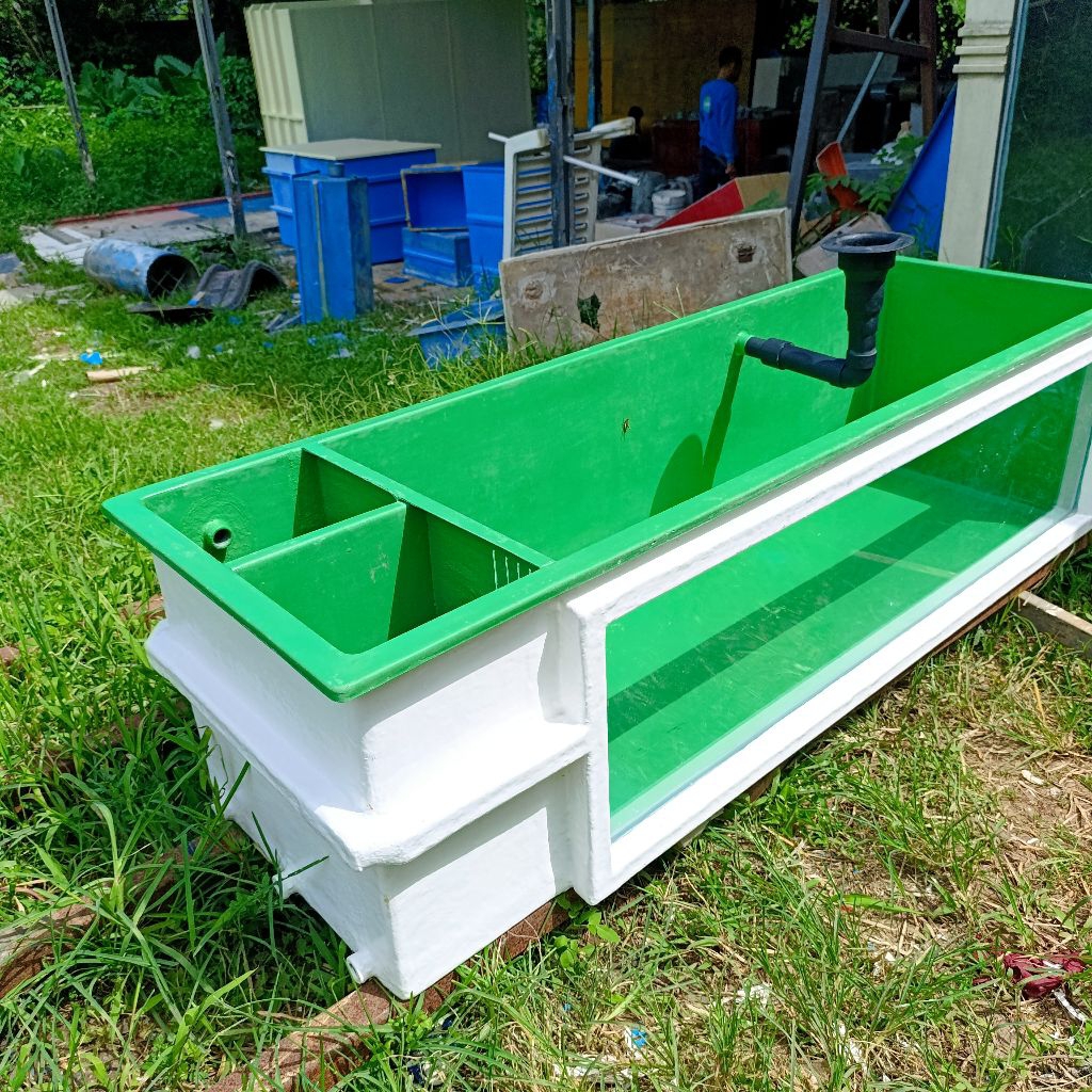 Bak kaca fiber UK 180x50x50 kombinasi filter dan mushroom hijau-putih