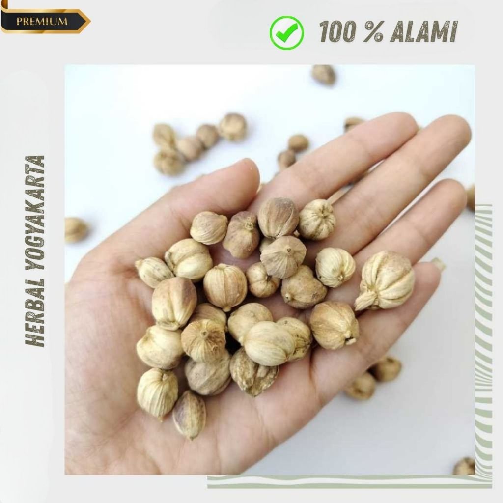 Kapulaga - Kapolaga - Kapulaga Kering Alami - Kapulaga utuh Kering Super - Rempah