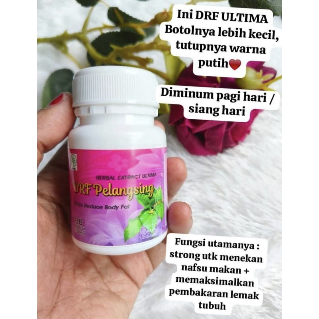 DRF PELANGSING ULTIMA