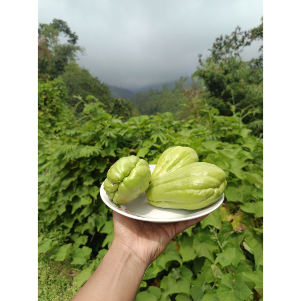 Waluh Sayur Labu Sayu 1kg