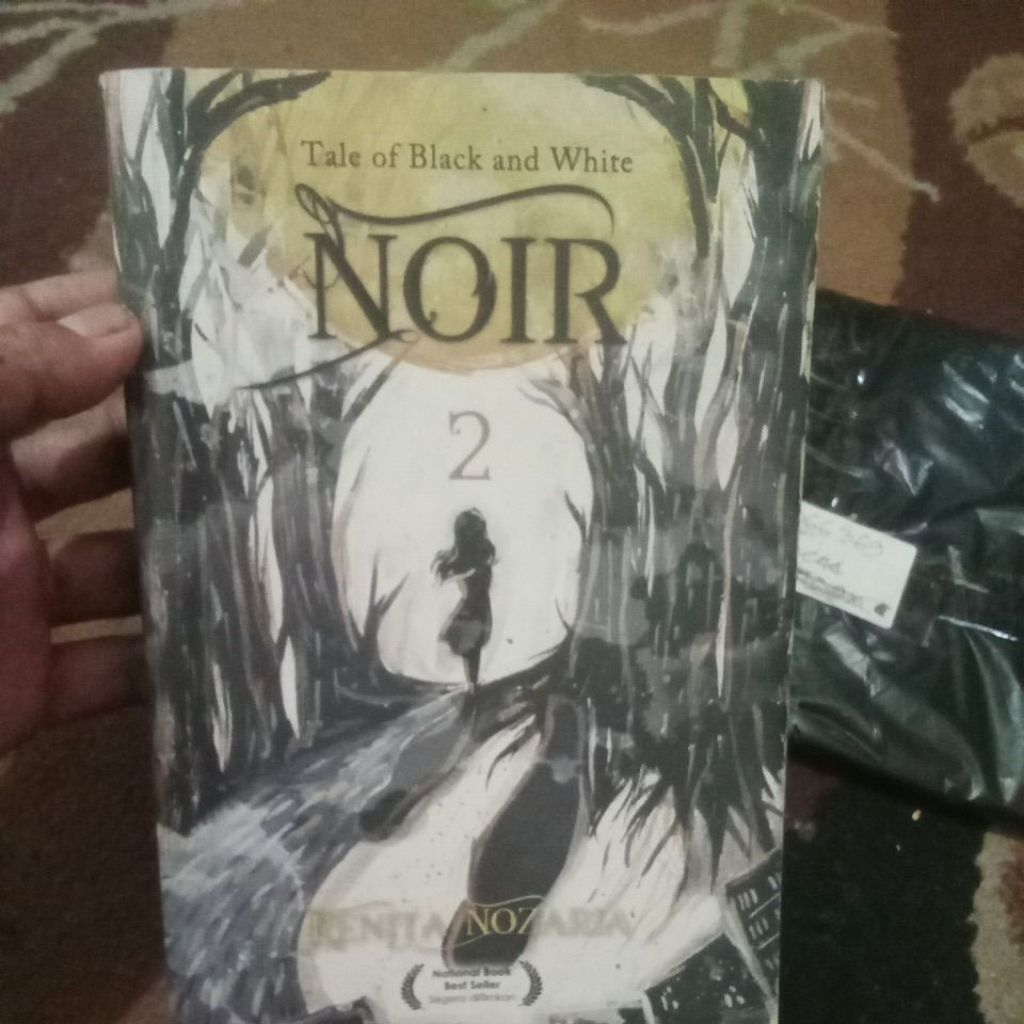 novel Tale of black and white NOIR 2