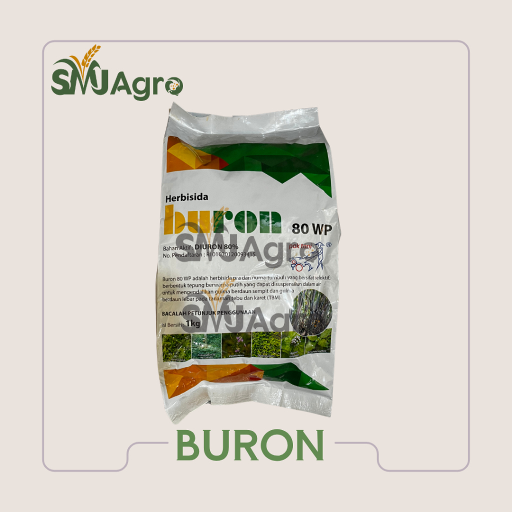 Buron 80 WP | Herbisida