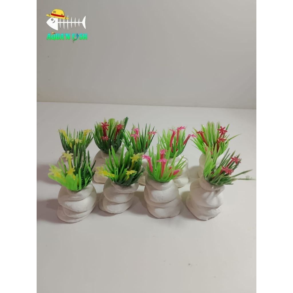 Hiasan aquarium rumput bunga mini