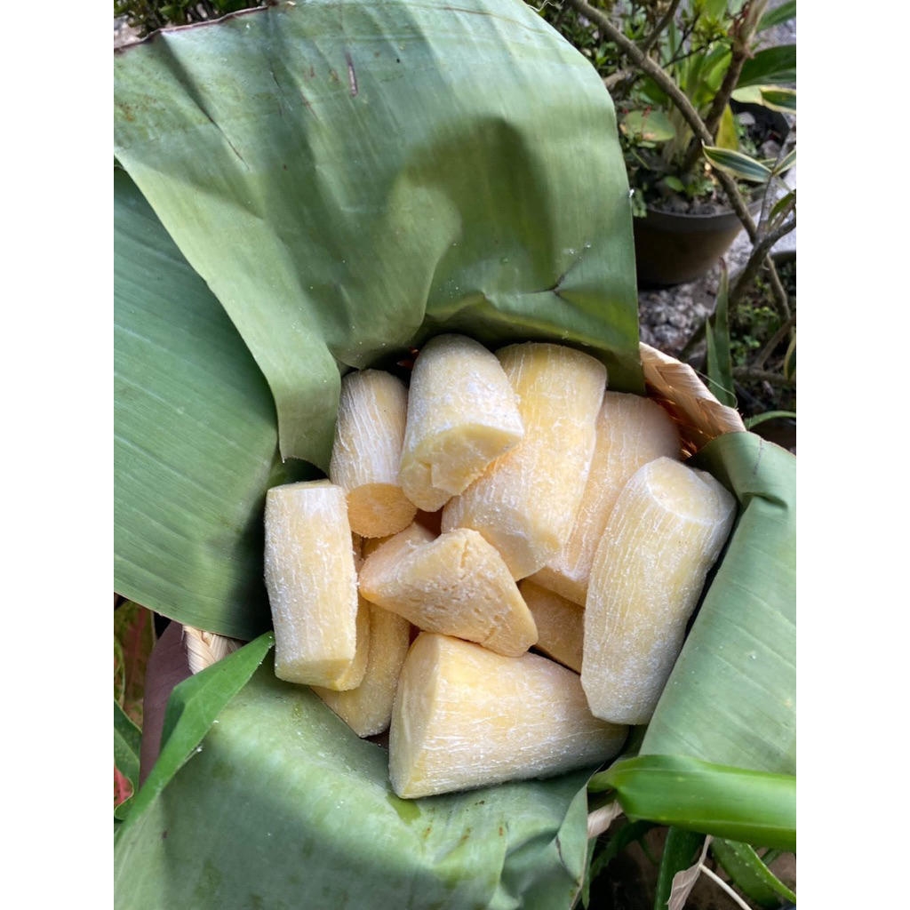 tape singkong mentega asli tape gembong 600-700 manis legit