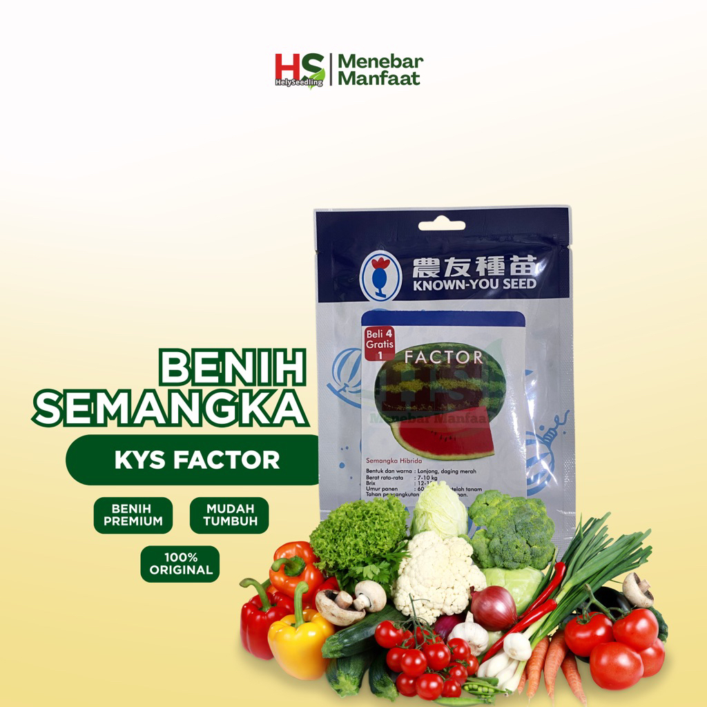 Semangka Factor Known You Seed (ORIGINAL)