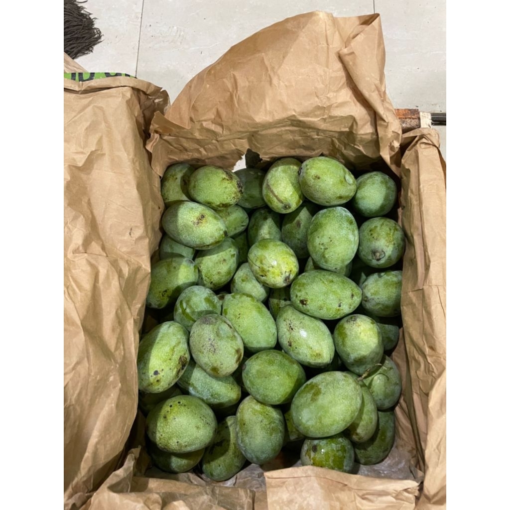 Buah Mangga Manalagi Situbondo Segar 1kg - Mangga Manalagi Fresh 1kg