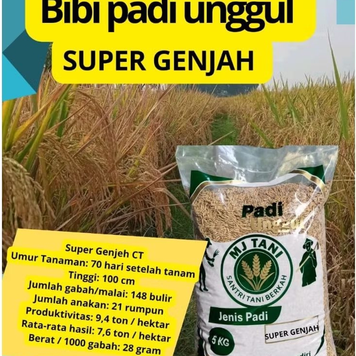 BIBIT PADI UNGGUL SUPER GENJAH KEMASAN 5KG
