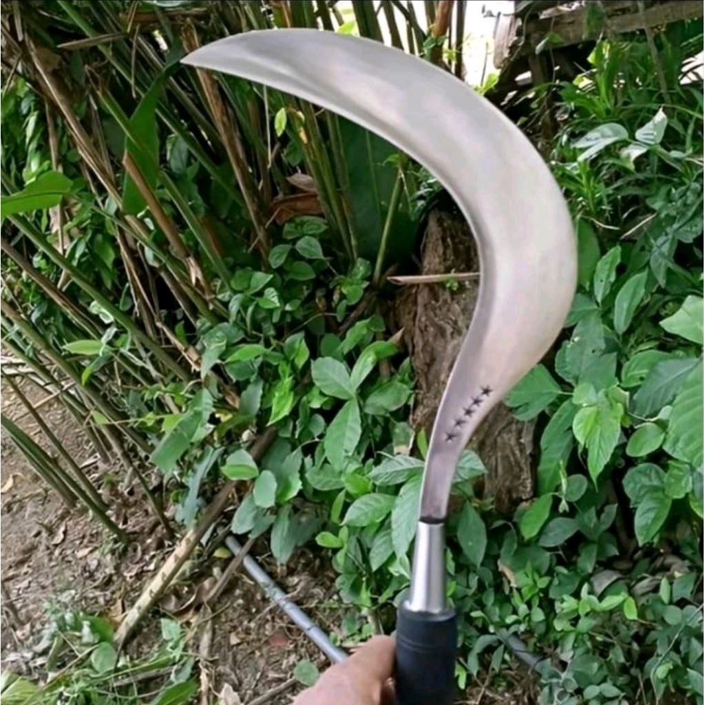 Arit/sabit rumput bintang5 khas Madura