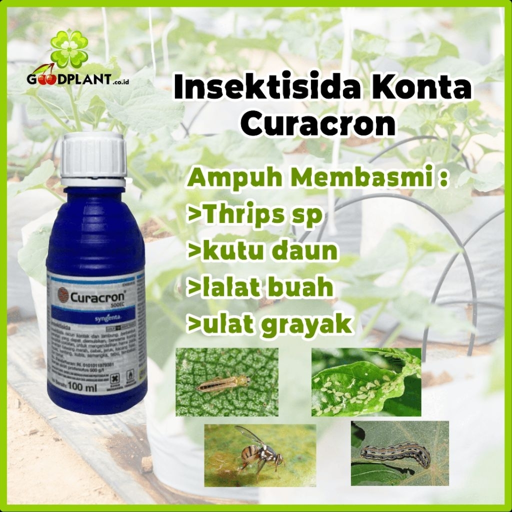 insektisida Curacron 500ec original (100ml)