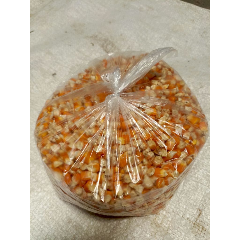 Jagung Kering 1kg Pakan Ternak Ayam Bebek Burung – Jagung Pipil Kering Berkualitas Rendah Kadar Air