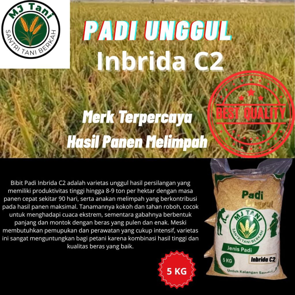 BENIH PADI INBRIDA C2 ORIGINAL KEMASAN 5 KG