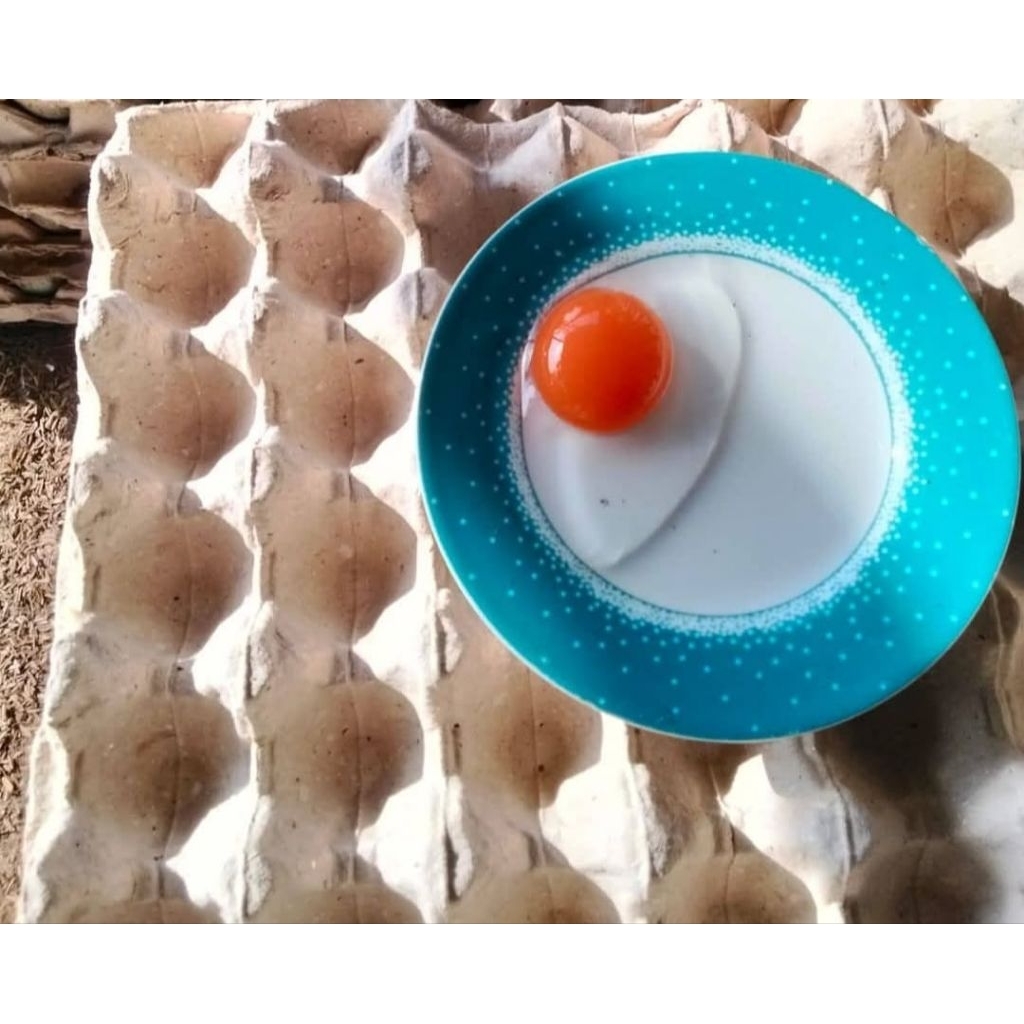 Telur Asin Mentah Asin